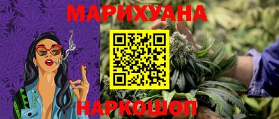 индика Нальчик