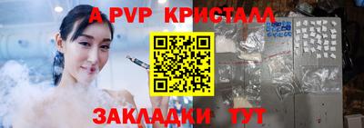 индика Нальчик