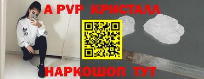 индика Нальчик